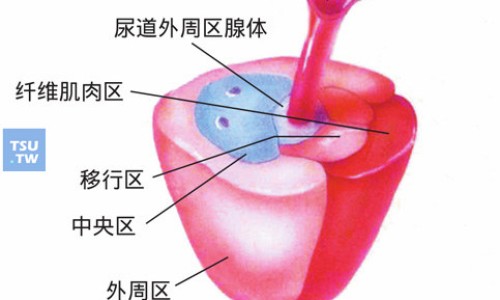 金刚烷胺片的作用和功效价格网-分享金刚烷胺片的说明书，金刚烷胺的作用机理知识库