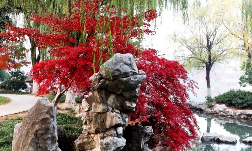 金刚烷胺片作用与功效-金刚烷胺片的作用和功效价格网-分享金刚烷胺片的说明书，金刚烷胺的作用机理知识库